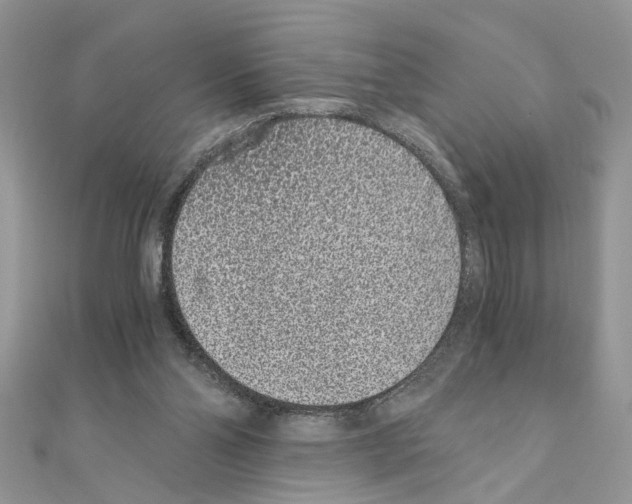 X0000110870110200907301421