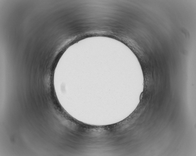 X0000110870112200907301421