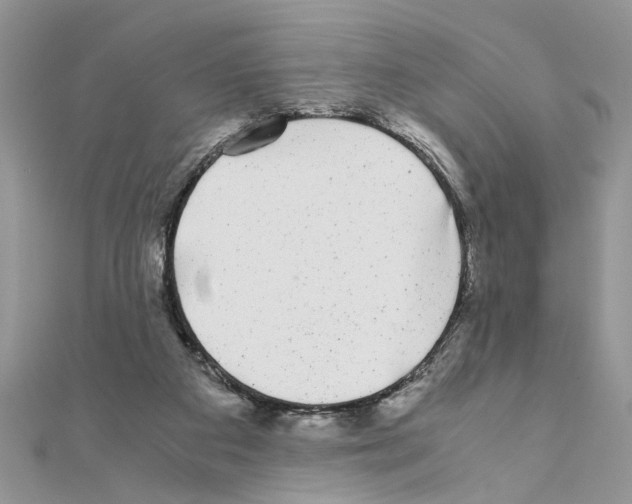 X0000110870113200907301421