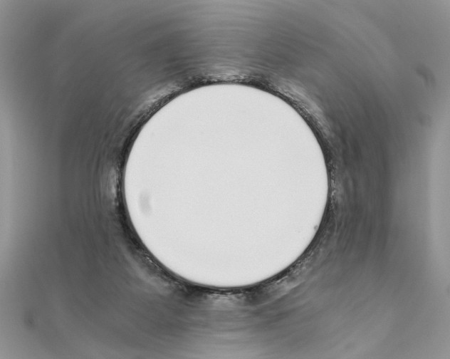 X0000110870115200907301421