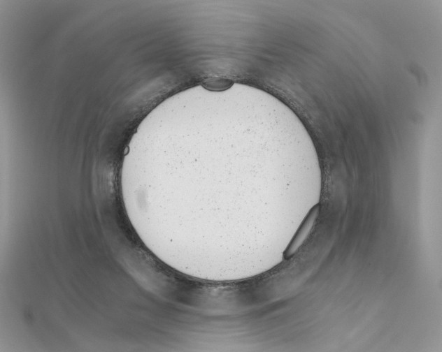 X0000110870117200907301421