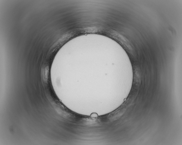 X0000110870118200907301421