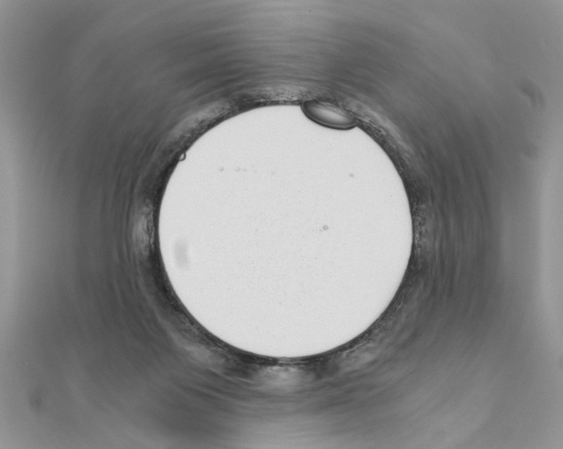 X0000110870119200907301421