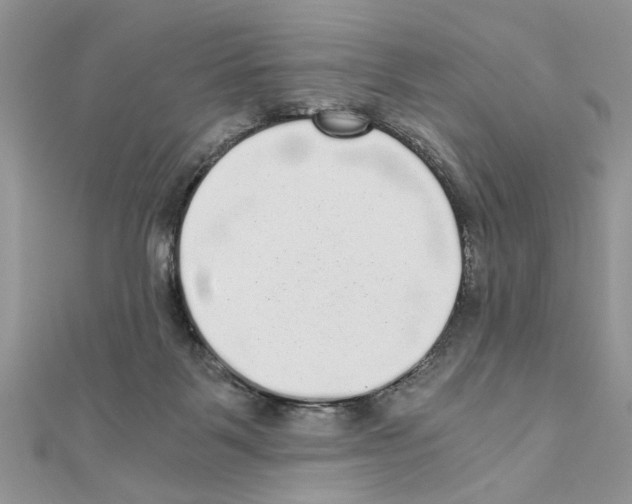 X0000110870123200907301421