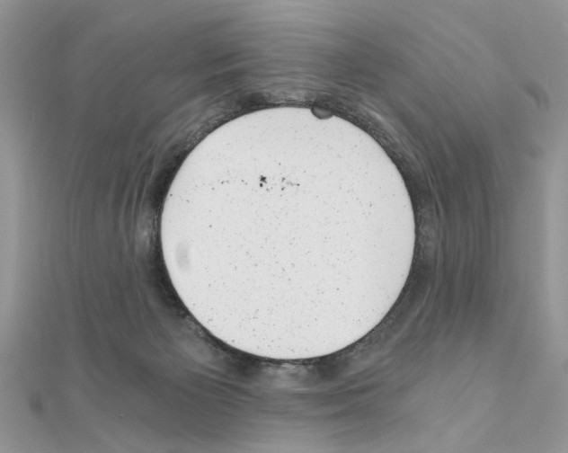 X0000110870125200907301421