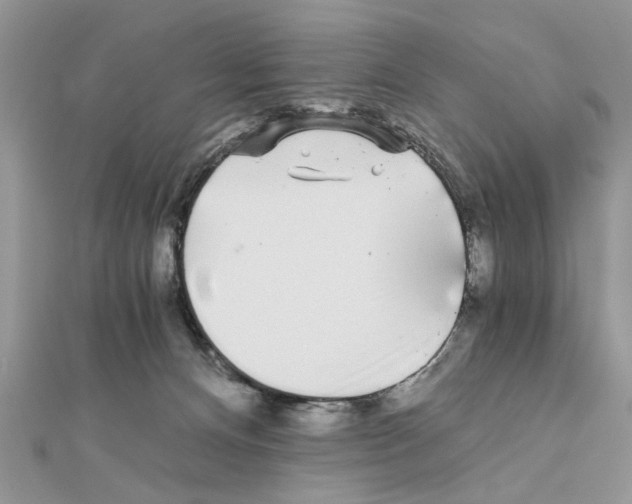 X0000110870128200907301421