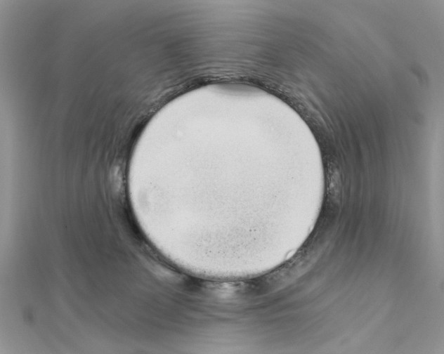 X0000110870131200907301421