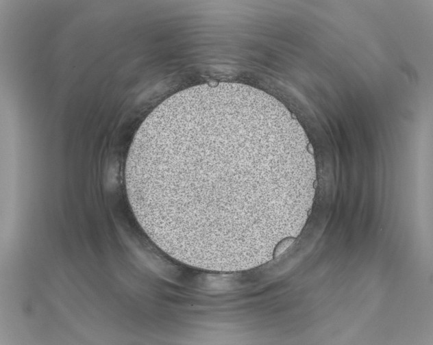 X0000110870134200907301421