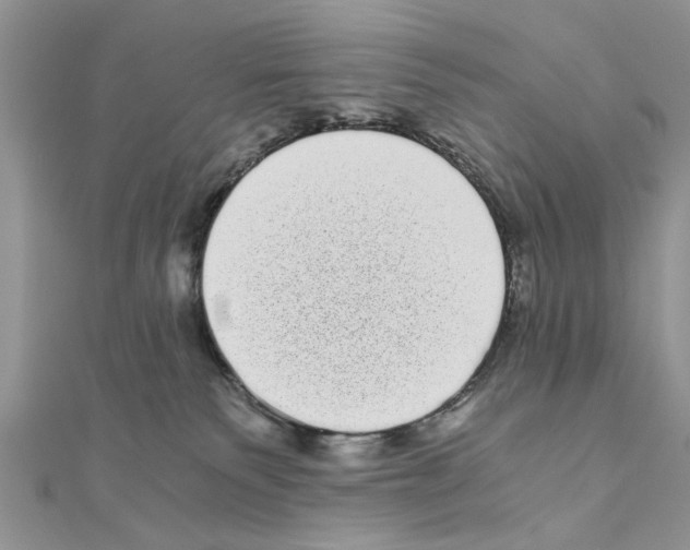 X0000110870135200907301421