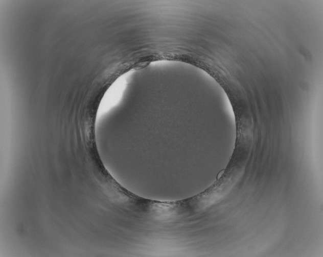 X0000110870139200907301421