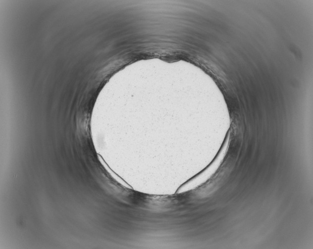 X0000110870141200907301421