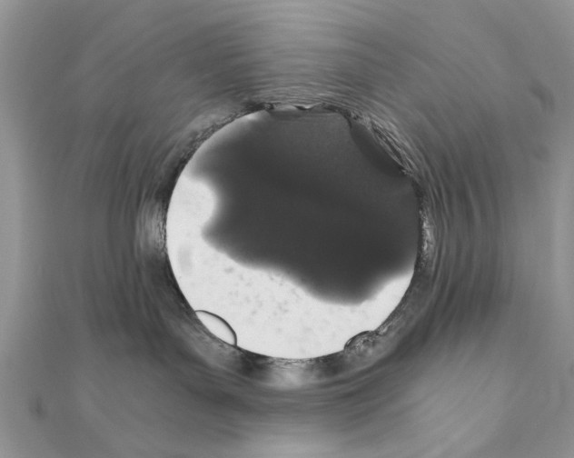 X0000110870143200907301421