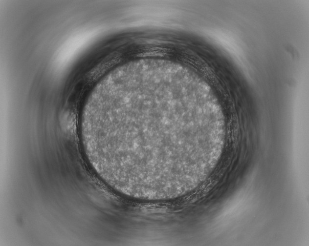 X0000110870146200907301420