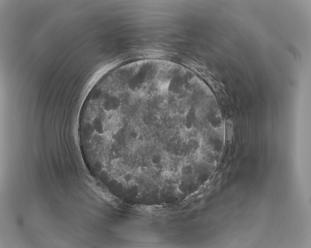 X0000110870147200907301420