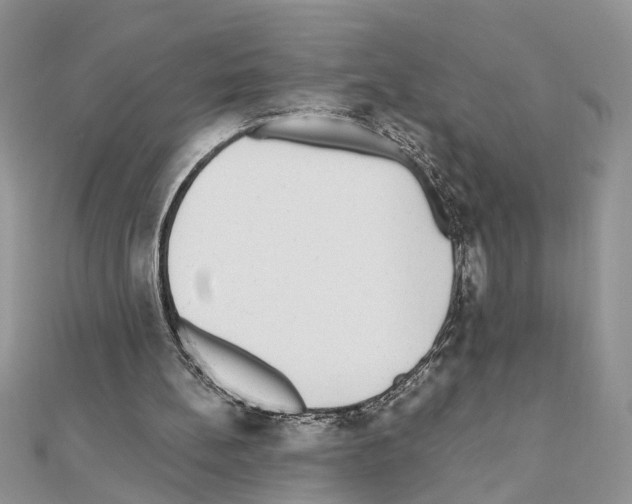 X0000110870148200907301420