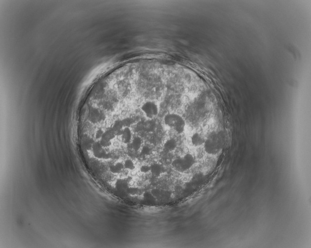 X0000110870149200907301420