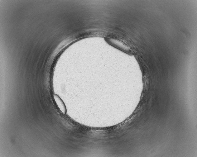 X0000110870150200907301420