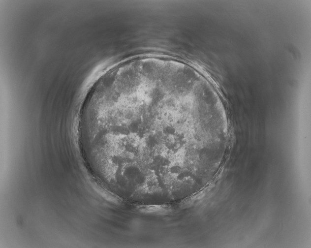 X0000110870151200907301420