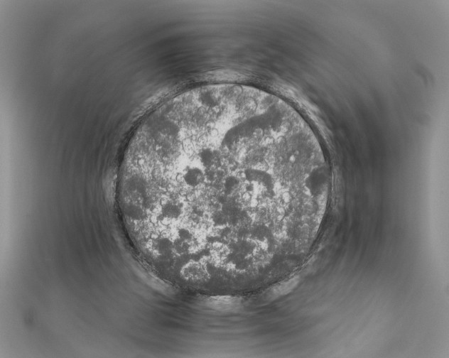 X0000110870153200907301420