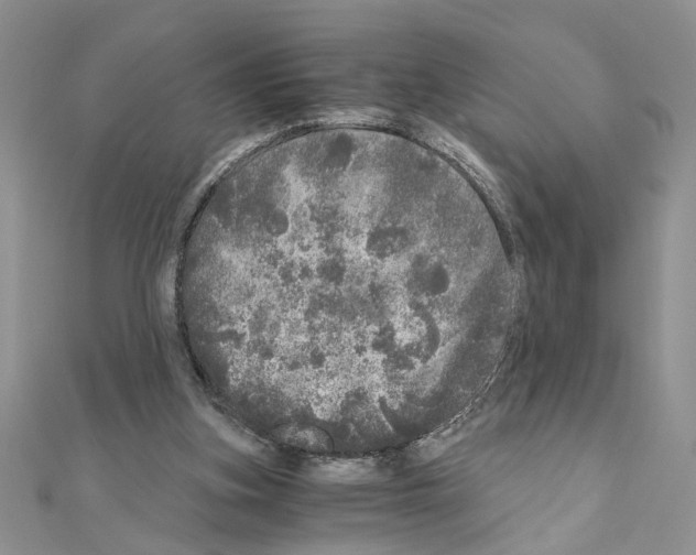 X0000110870155200907301420