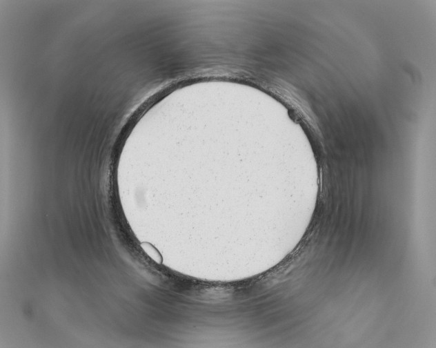 X0000110870156200907301420