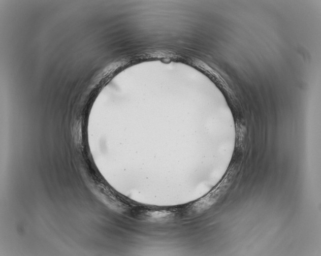 X0000110870158200907301420