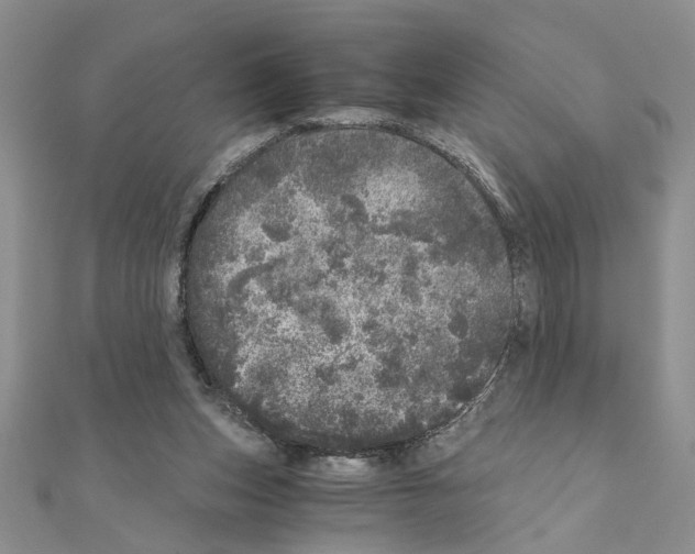 X0000110870159200907301420