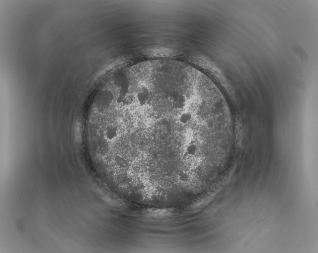 X0000110870161200907301420