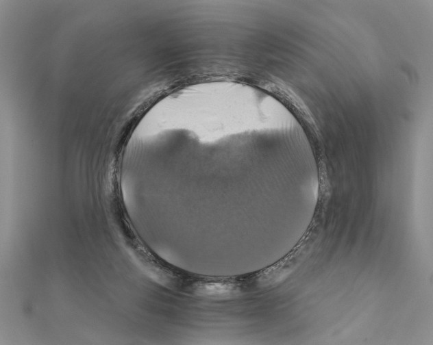 X0000110870163200907301420