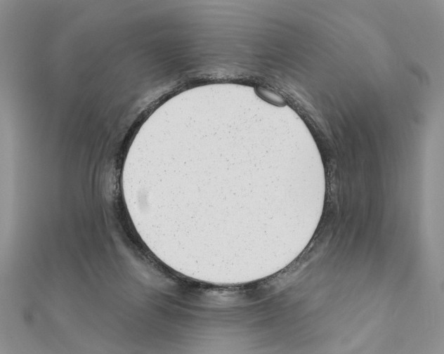 X0000110870164200907301420