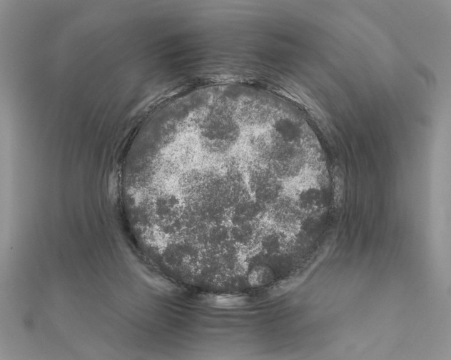 X0000110870165200907301420