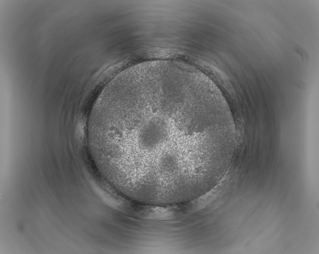 X0000110870166200907301420