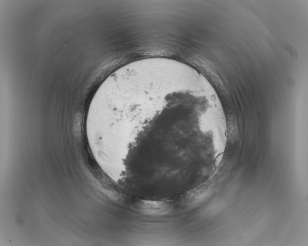 X0000110870167200907301420