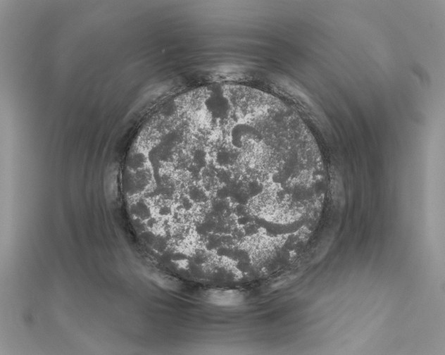 X0000110870169200907301420