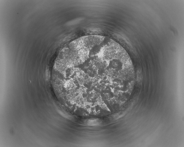 X0000110870173200907301420