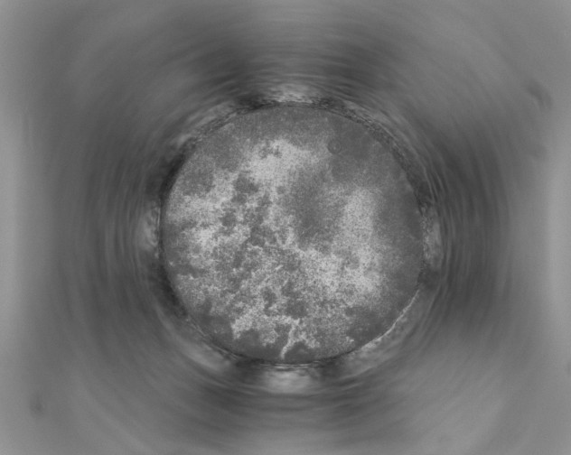 X0000110870175200907301420