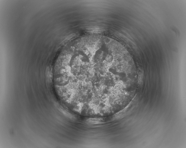 X0000110870179200907301420