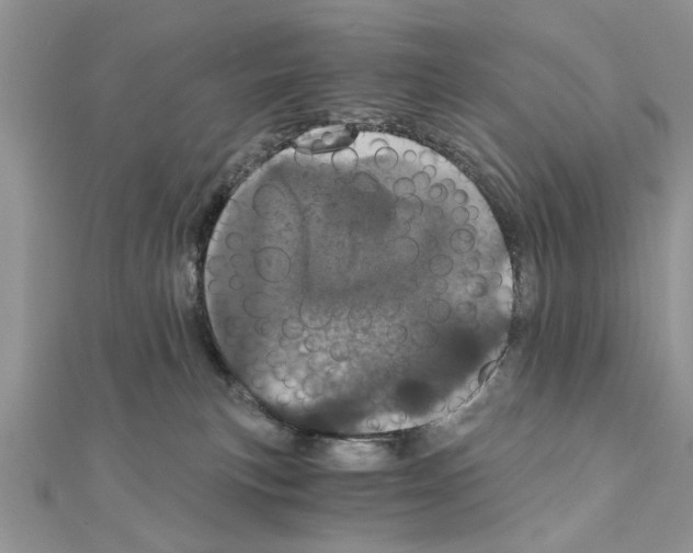 X0000110870183200907301420