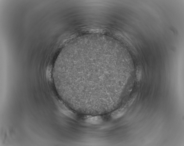 X0000110870185200907301420