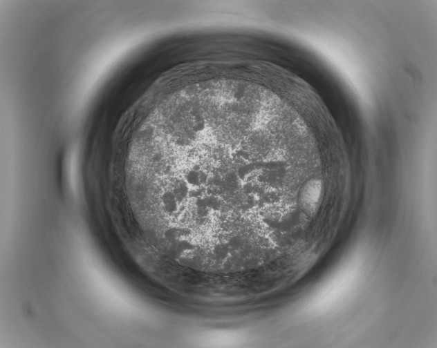 X0000110870189200907301420