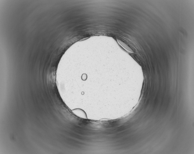 X0000110870190200907301420