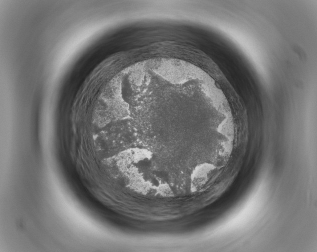 X0000110870191200907301421