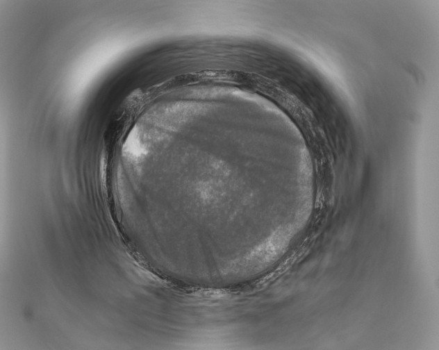 X0000110870195200907301420