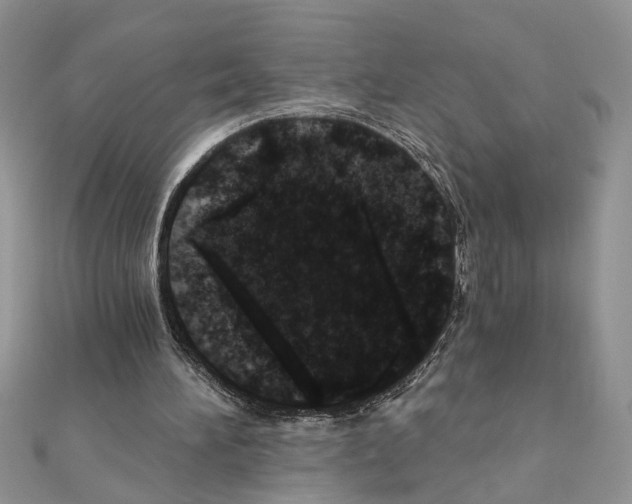 X0000110870196200907301420