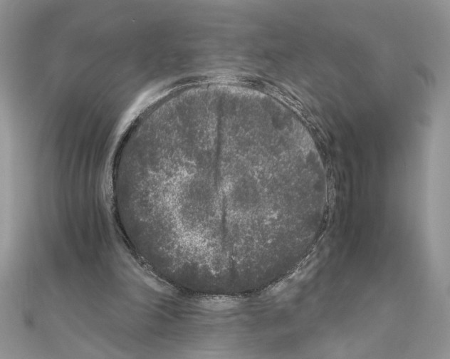 X0000110870198200907301420