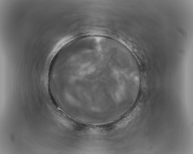 X0000110870199200907301420