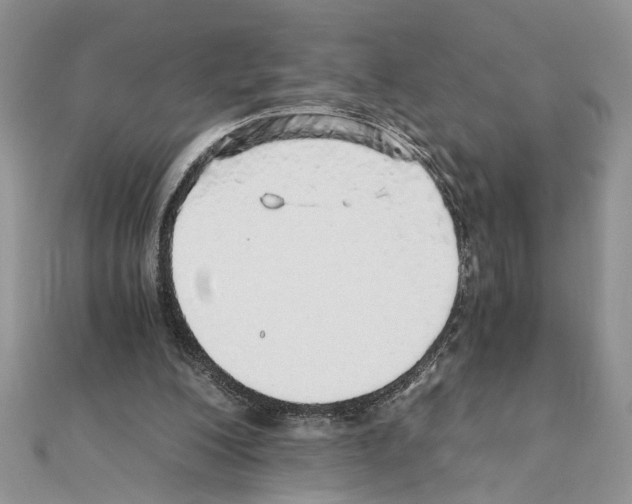 X0000110870200200907301420