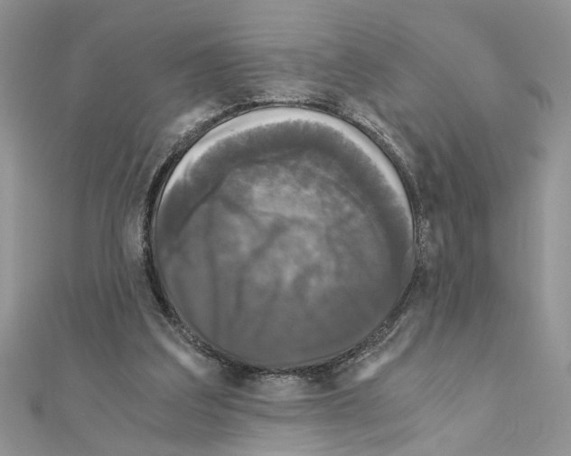 X0000110870203200907301420