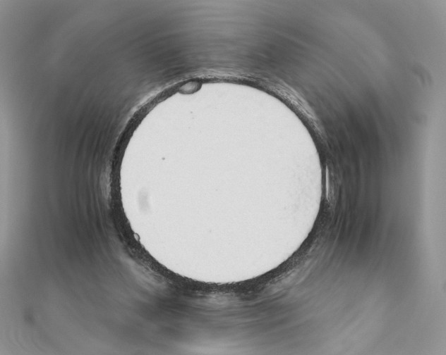 X0000110870204200907301420