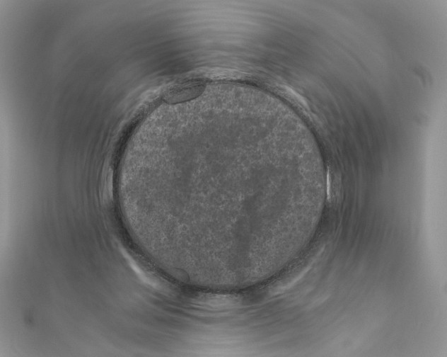 X0000110870205200907301420